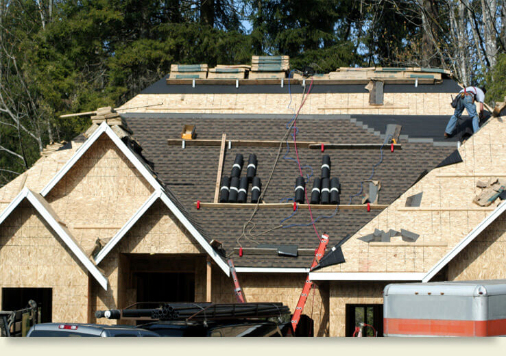 Professional Roofing Services