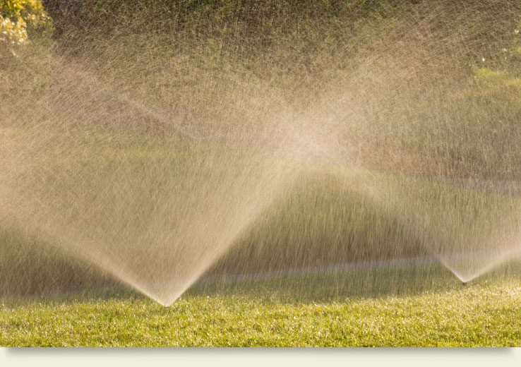 Sprinkler