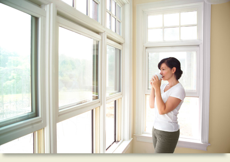 Windows in a Sunroom